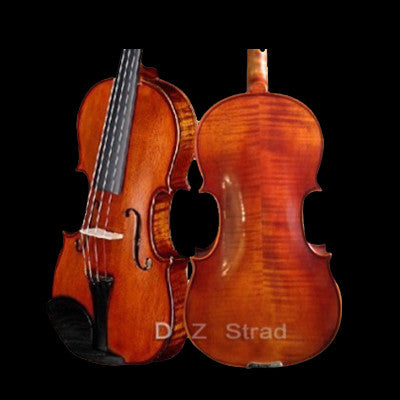 LeSong Concerto Viola Model 200