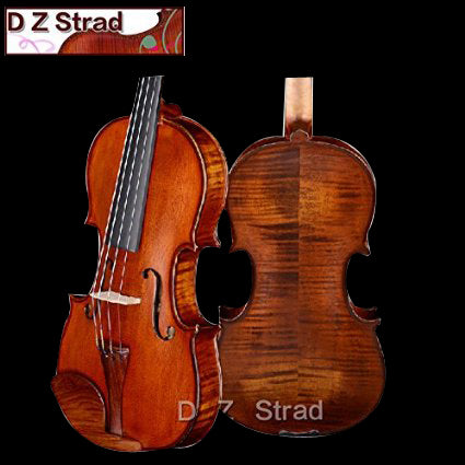 Rental Violins LC200 Models