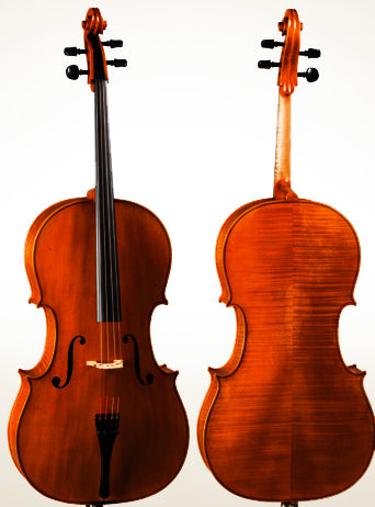 D Z Strad Cello Model 900