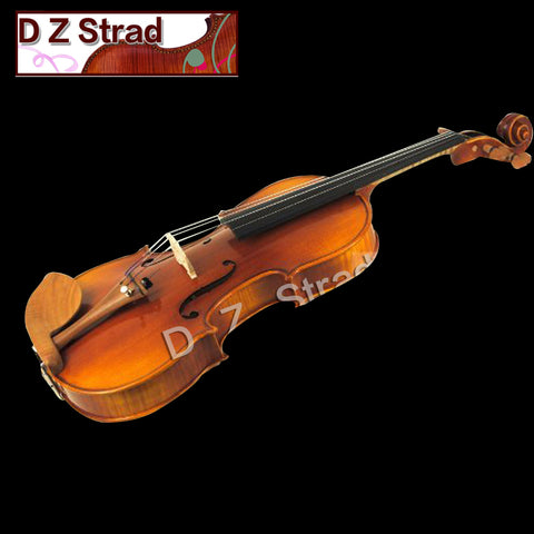 Rental Violins Professional Models